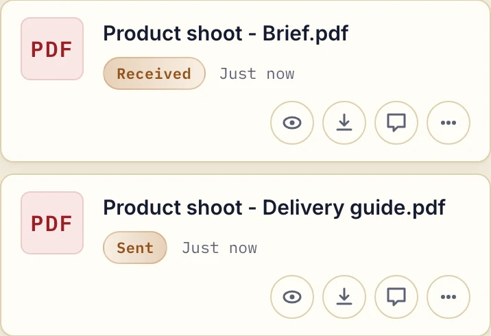 Business view showing the received Product shoot brief and sent delivery guide PDF